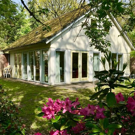 Vakantiewoning Tjiftjaf In "Het Fonteinbos" Vila Oudemirdum Exterior foto